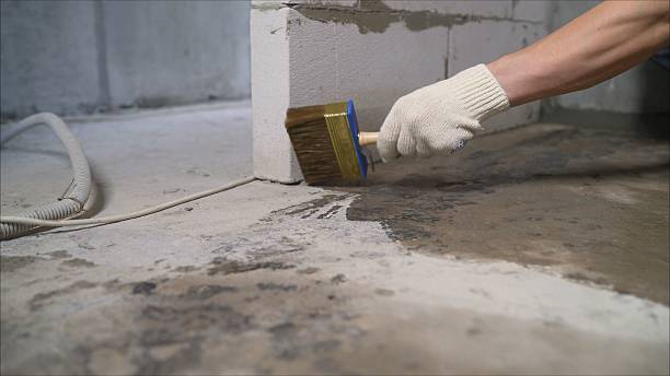 SJ Waterproofing Pros Waterproofing coverage map for Novi, MI and surrounding area